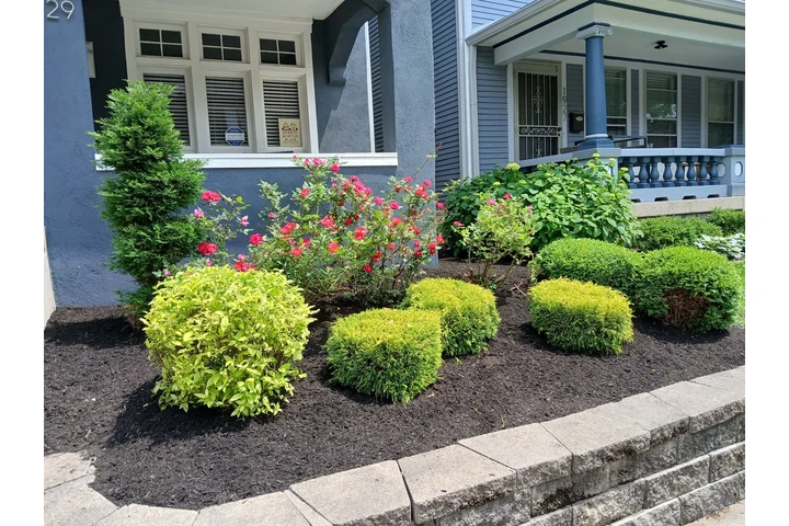 🌳GARCIA LANDSCAPING🌳 image 7