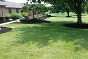 Morales Landscape LLC thumbnail 3