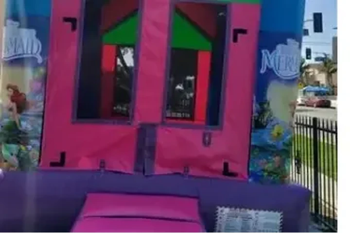 RENTA DE CARPAS image 5