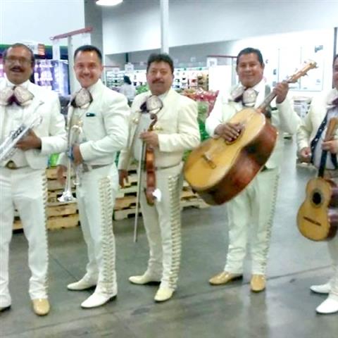 MARIACHI TEQUILA EXPRESS image 5