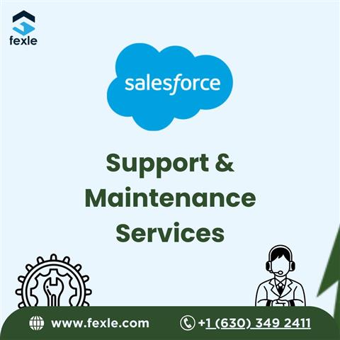 24x7 Salesforce Maintenance image 1