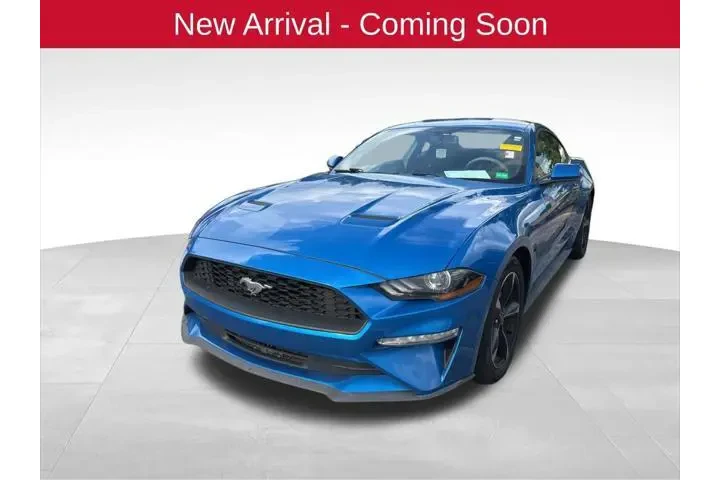 $16048 : Ford Mustang 2019 EcoBoost 2 image 2
