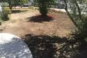 GARDENER CHAIDEZ thumbnail