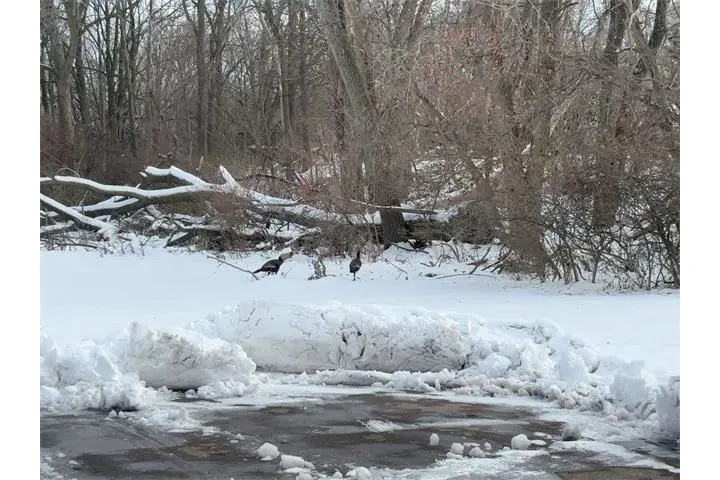 $25000 : Ford Explorer 2023 AWD XLT 4 image 9
