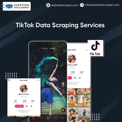 TikTok Data Scraping Services image 1