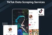 TikTok Data Scraping Services en Houston