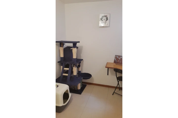 $270000000 : CONFORTABLE CASA EN TINTAL image 8