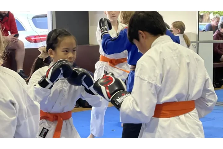 AMAF Kids Karate Classes image 1