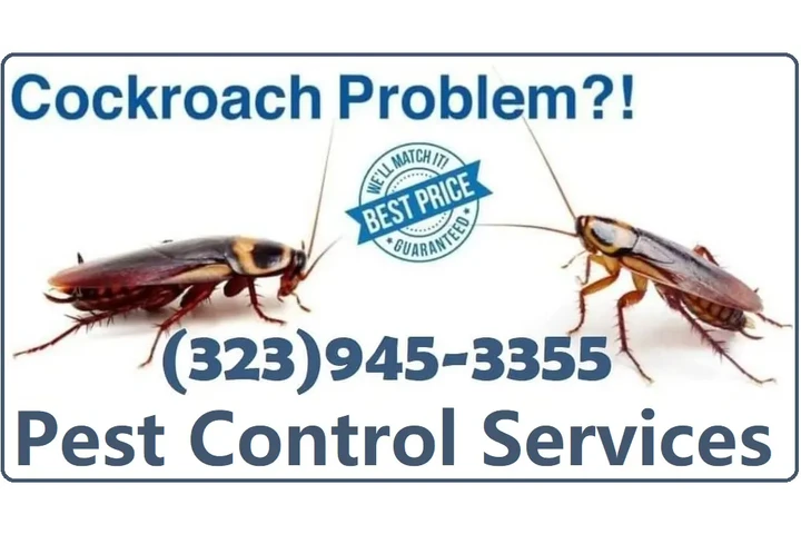 PEST CONTROL-CLASIFICADOS #1. image 10