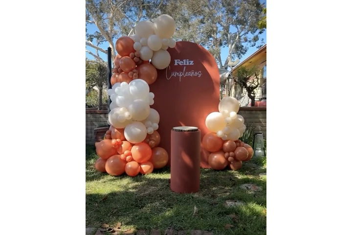 🎉 Diana Borquez Decor🎉 image 2