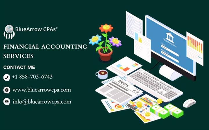 Financial Accounting Services image 1