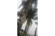 Servicios de jardinería en Riverside