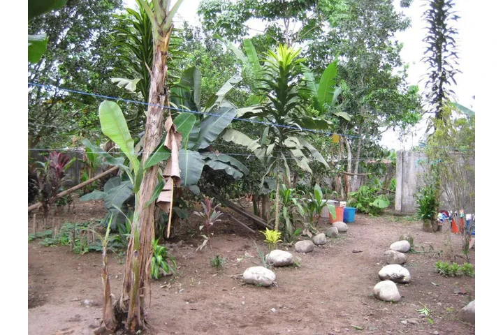 $70000 : Vendo 7 lotes 1400 m2 image 4