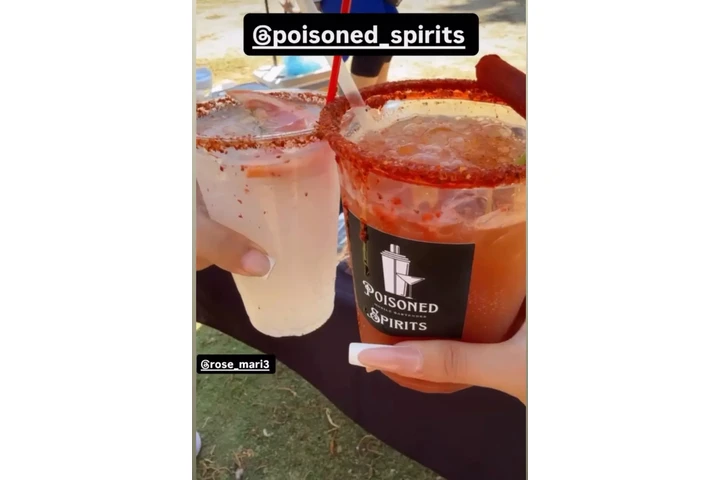 Mobile bartender image 2