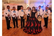 Mariachi Los Gallitos For Hire en Los Angeles