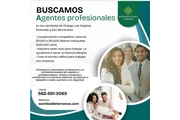 Agentes profesionales en Los Angeles