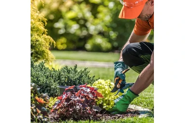 SERVICIO DE JARDINERÍA en San Francisco Bay Area