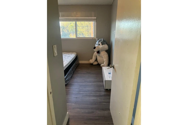 $800 : SE RENTA RECAMARA EN GARDENA image 1