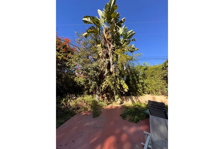 Professional Landscaping image 6