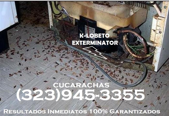 PEST CONTROL 24/7 EXTERMINATOR image 1