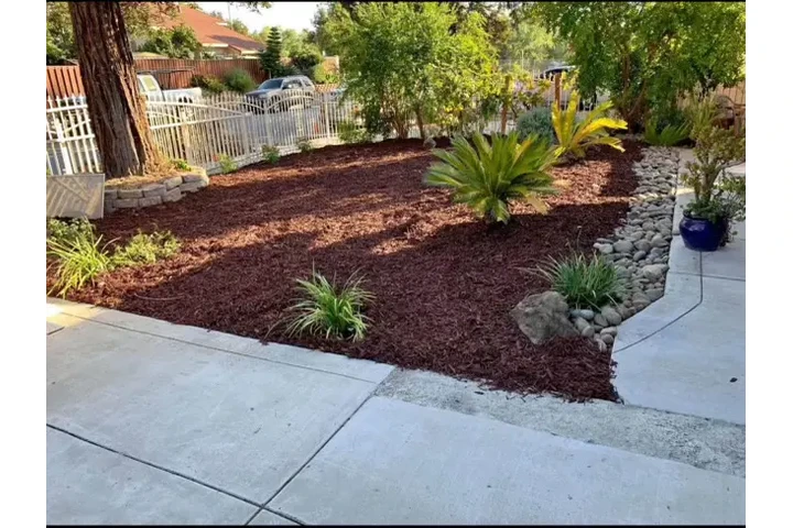 Sandoval garden service image 4