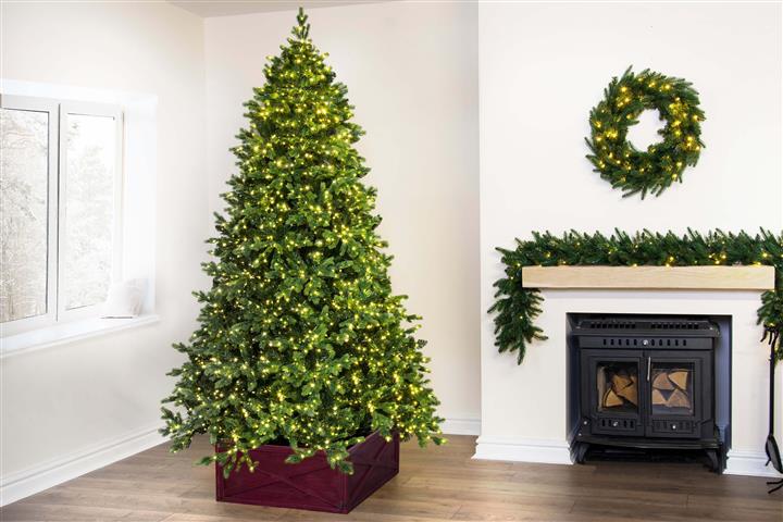 $250 : Christmas trees for sale image 1