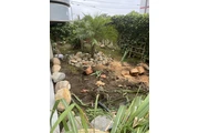 Moisés landscaping services thumbnail