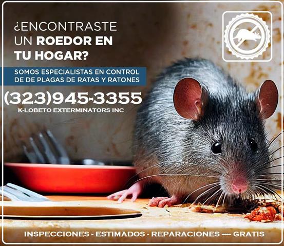 Rodents control & repairs 24/7 image 1