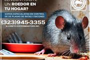 Rodents control & repairs 24/7 en Los Angeles