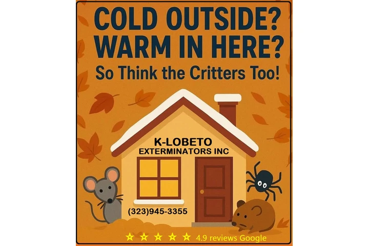 FUMIGACIONES 🎃 🦇 HALLOWEEN.- image 6