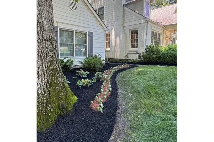 Landscaping services image 2