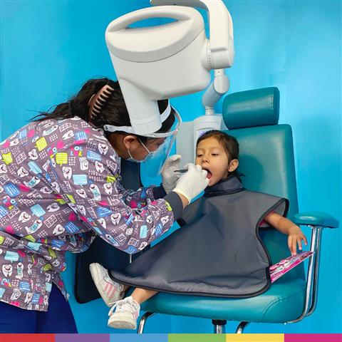 Children's Dental Fun Zone image 4