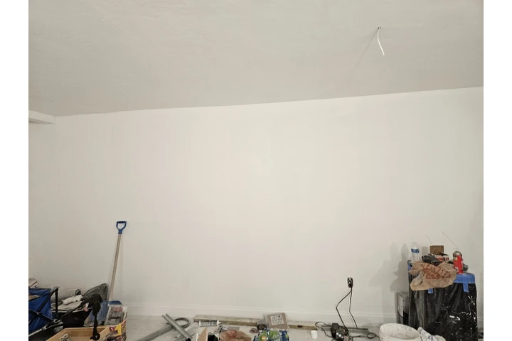 Servicio pintura image 9