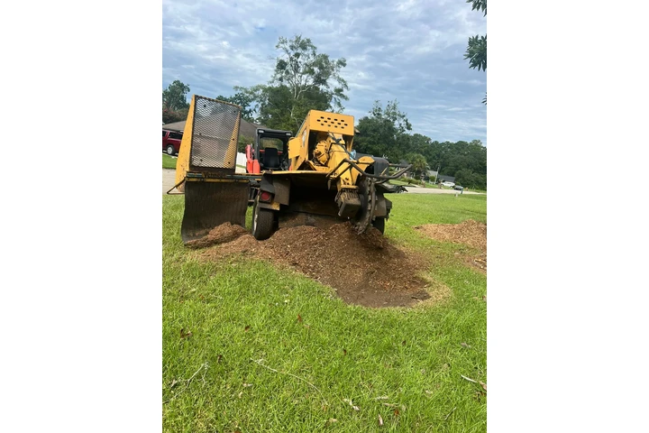 Solution Tree Services LLC image 8