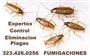 FUMIGADOR TERMITA - PLAGA 24/7 thumbnail