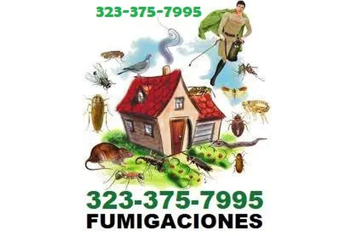 FUMIGACIONES GARANTIZADAS.24/7 image 6