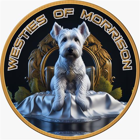 West Highland White Terrier image 1