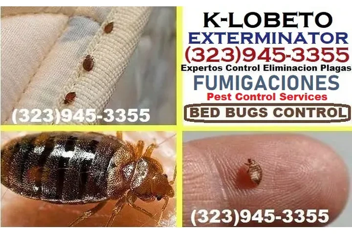 BEST EXTERMINATORS LOS ANGELES image 10