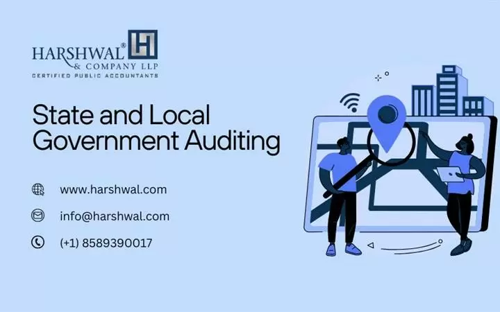 state and local auditing image 1