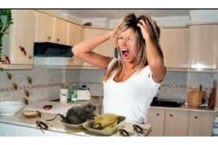 EXTERMINADOR DE PLAGAS 100%100 image 1