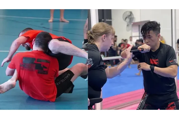 Mixed Martial Arts vs Kali image 1