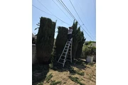 The Bernardinos landscaping thumbnail