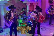 Norteño con túba 🪗🎸🥁 en Los Angeles