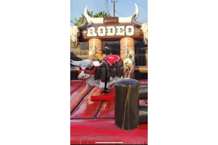 DANNY'S JUMPERS image 4