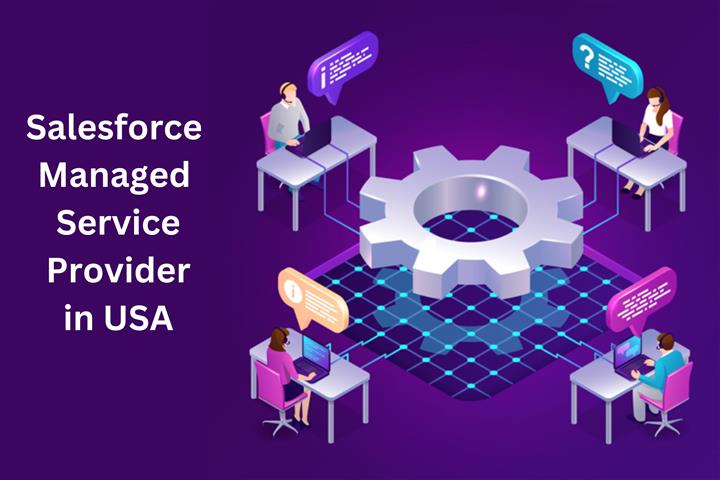 Salesforce Managed Service USA image 1