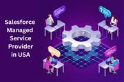 Salesforce Managed Service USA