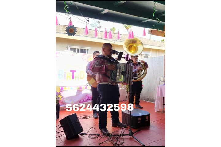 Grupo Norteño 🪗 image 3