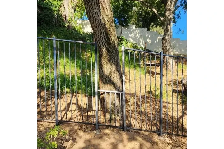 Buena Vista Fence image 3