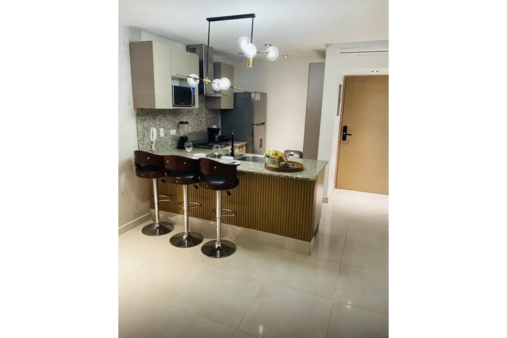 $1000 : ALQUILO APTO  EN VISTA  CANA image 3