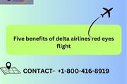five benefits of delta airline en Bronx